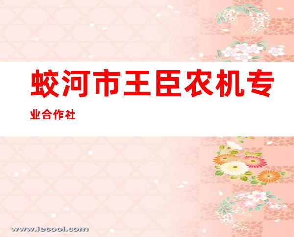 蛟河市王臣农机专业合作社